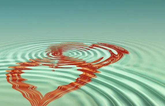 Kasino Black Label Tuki